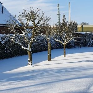 Meet your Posher, Tomke